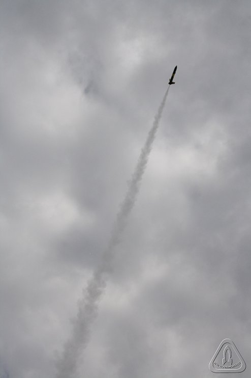 2013 Svojek Mirek Topinka